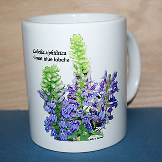 mug DS-152 blue Lobelia 6636.jpg